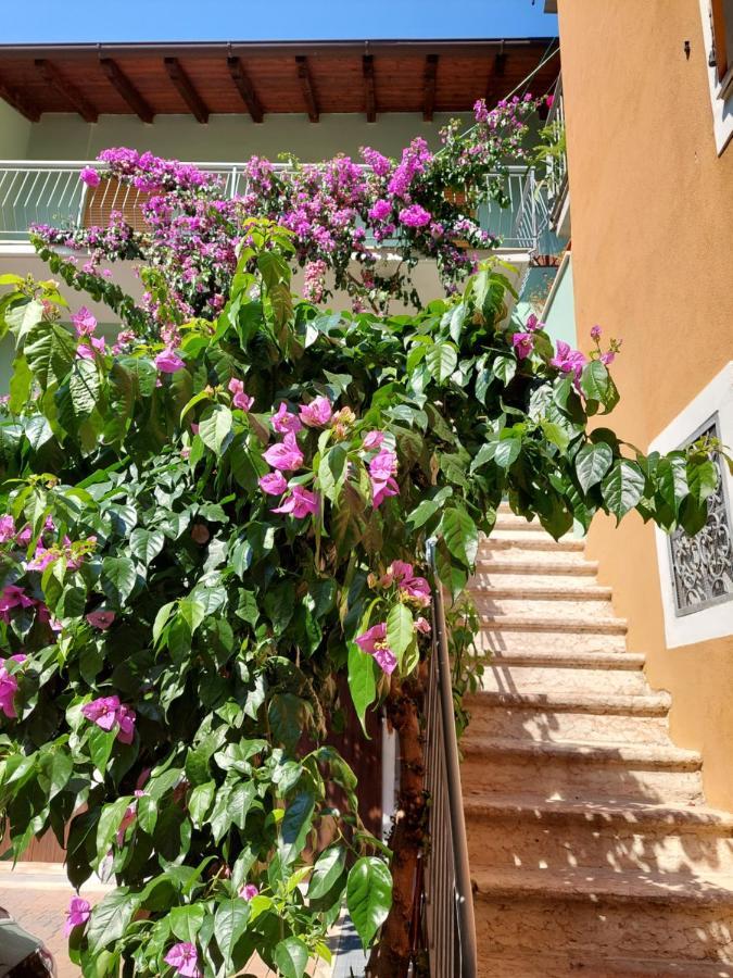La Bougainville - Luxury Apartment 토르볼레 외부 사진